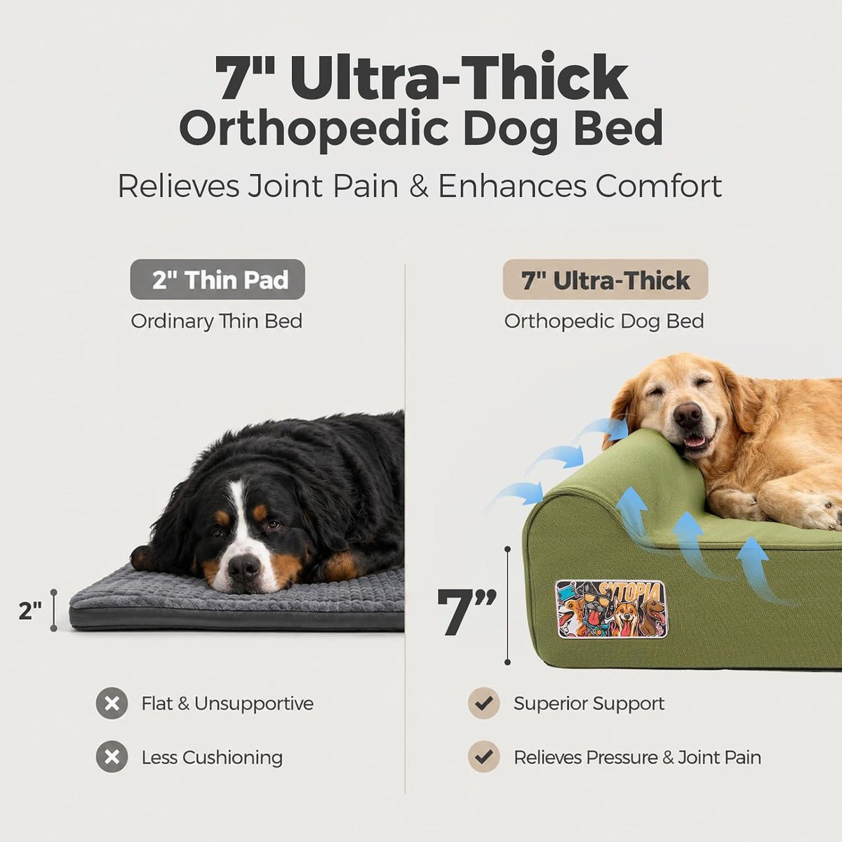 Sytopia Orthopedic Dog Beds for Extra Large Dogs, 7" Extra Thick Memory Foam Canvas Pet Bed with Durable Chew Proof Fabric Cover, Waterproof Liner & Washable Cover, Nonskid Bottom, Green
