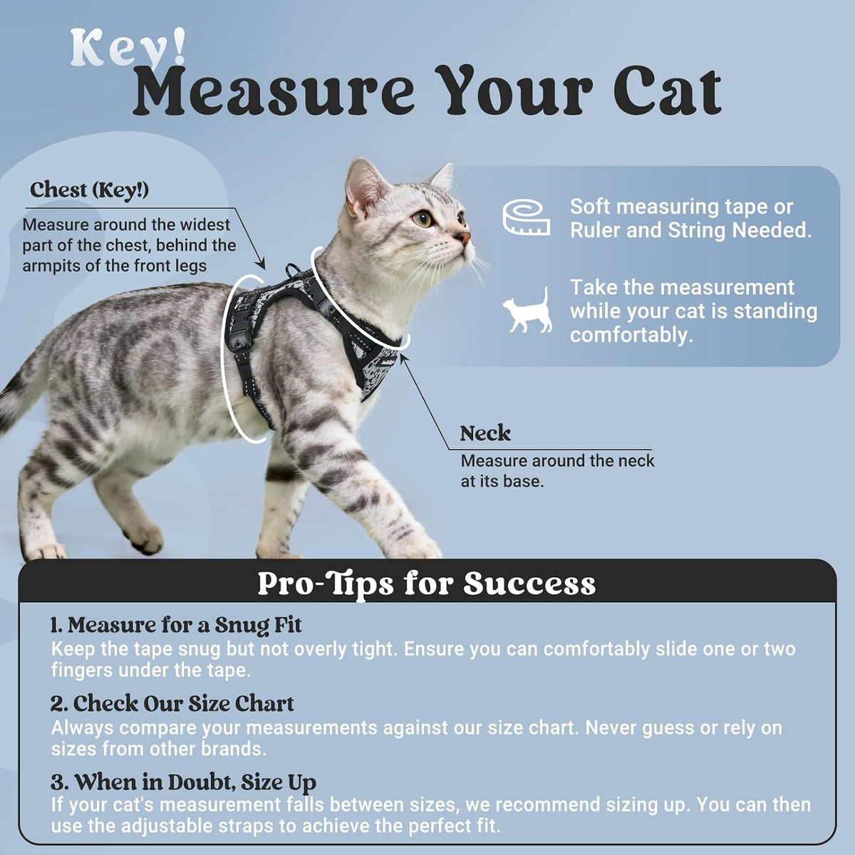rabbitgoo Cat Harness and Leash Set, Easy-on with Neck Buckle, Misty Catch