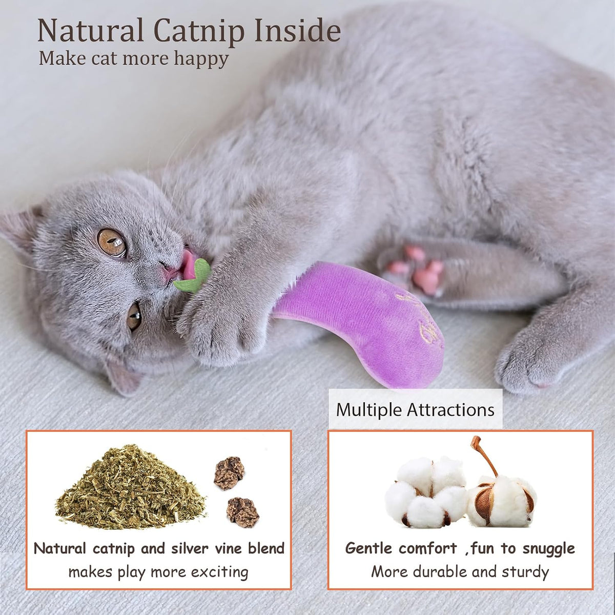ETEKYER Catnip Cat Toys for Indoor Cats Kitten, 5 Pack, Vegetable Shape | Cat Nip Toys Soft and Durable, Interactive Kitty Kicker Chew Safe Teeth Cleaning Toy