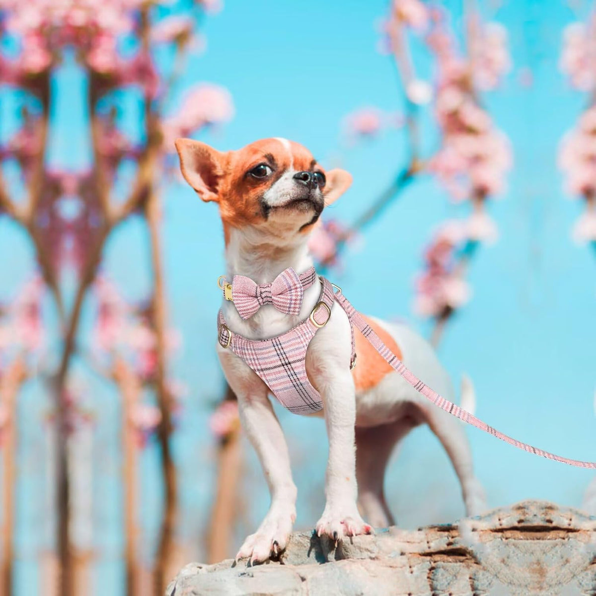 Beirui Cute Extra Small Dog Harness and Leash Set, Pink,XXS,Chest 12-14"