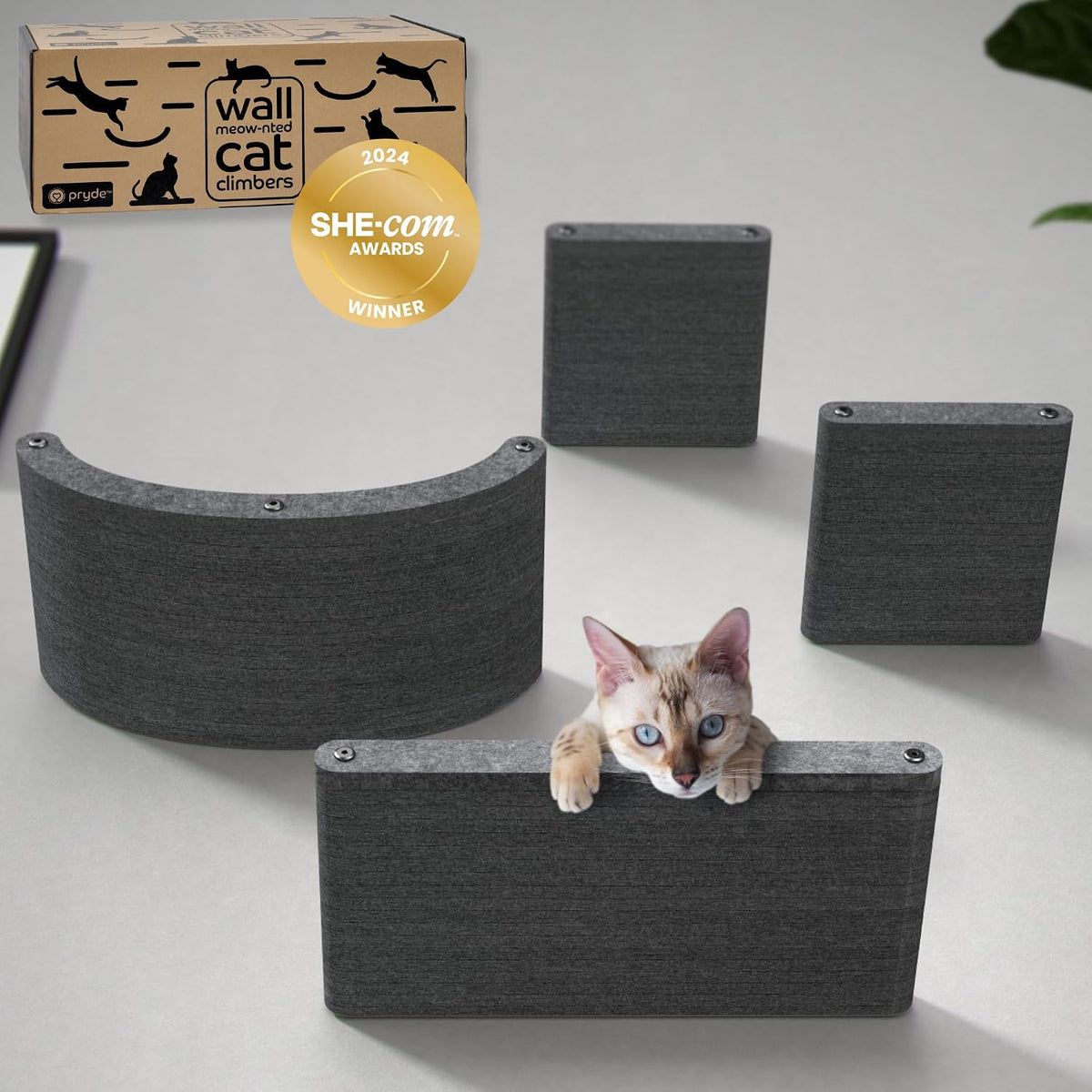 Cat Wall Shelves Set - Indoor & Outdoor by Pryde Pets