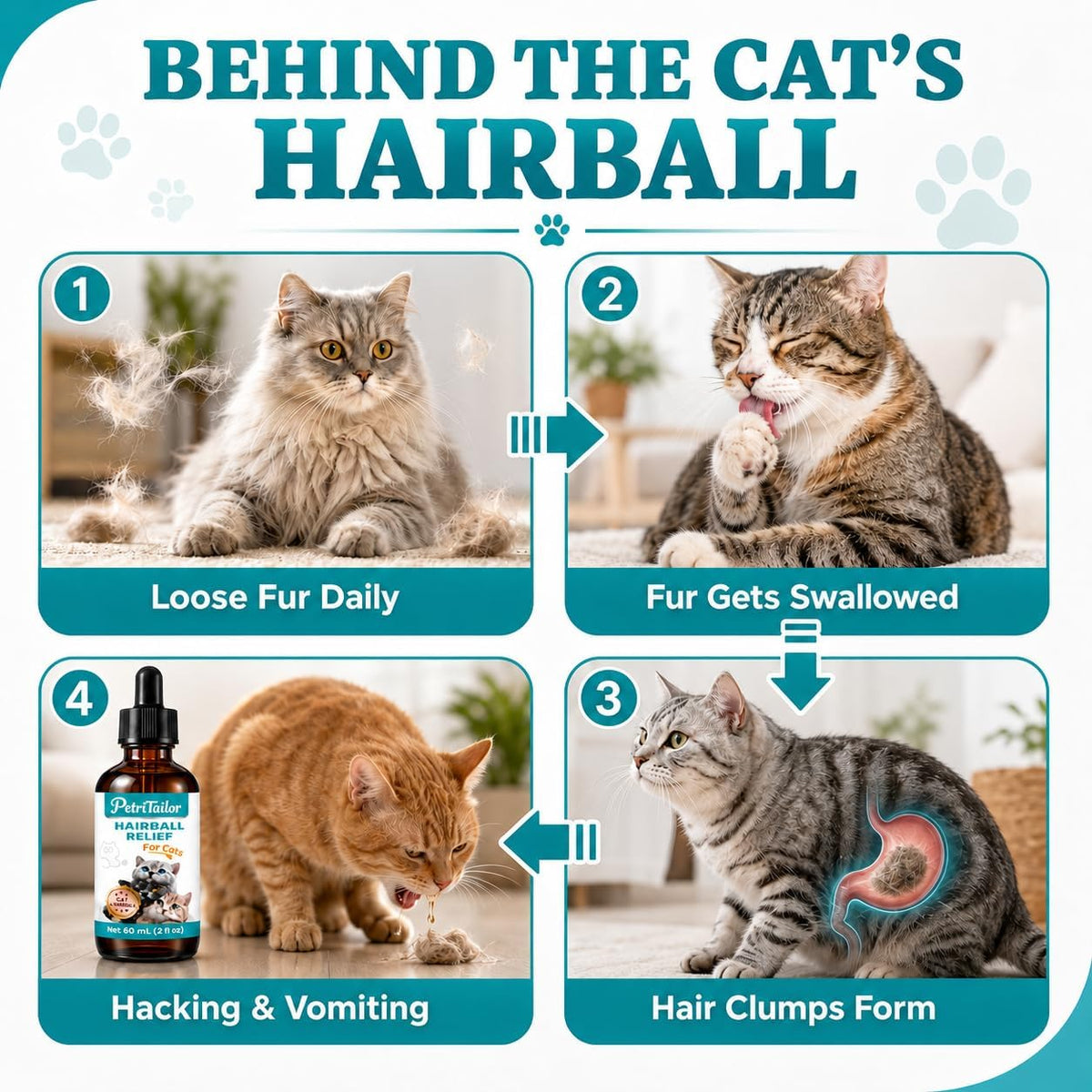 Cat Hairball Remedy Drops for Indoor Cats – Furball Control & Relief, Supports Digestion, Skin & Coat Health