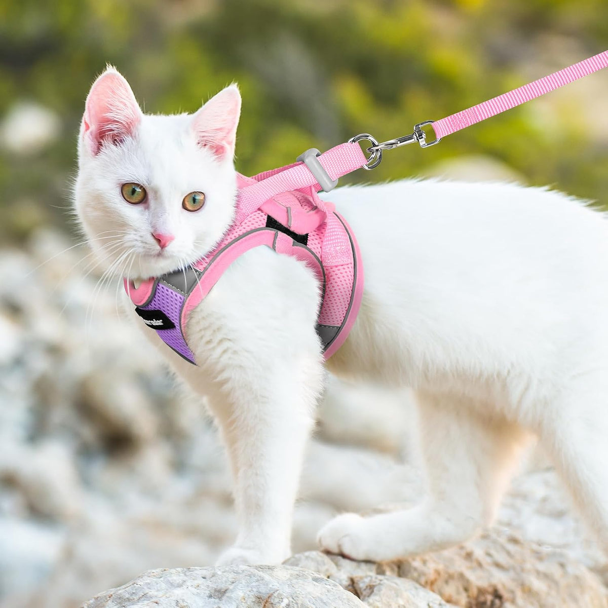 Dooradar Cat Harness and Leash Set, Easy-on Vest, Purple & Pink