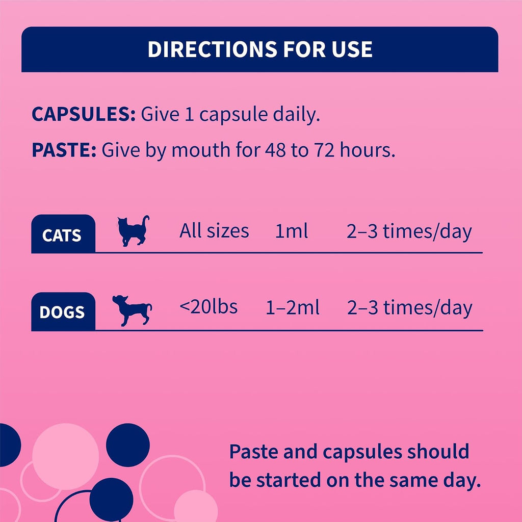 Nutramax Laboratories Proviable Digestive Health Supplement Kit with Multi-Strain Probiotics and Prebiotics for Cats and Small Dogs, with 7-Strains of Bacteria, 15 mL Paste and 10 Capsules