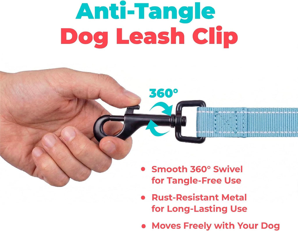 Best Pet Supplies Voyager Nylon Dog Leash - Baby Blue, Small