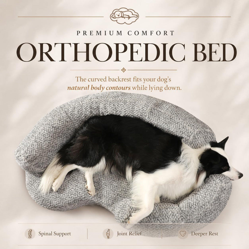 XXL Orthopedic Memory Foam Dog Bed, Large, Beige
