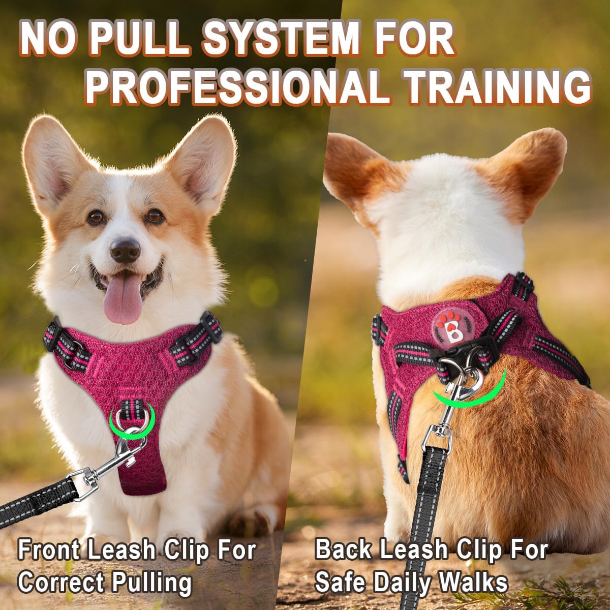 BARKBAY Small Dog Harness,No Pull Puppy Harness,Step-in Dog Vest