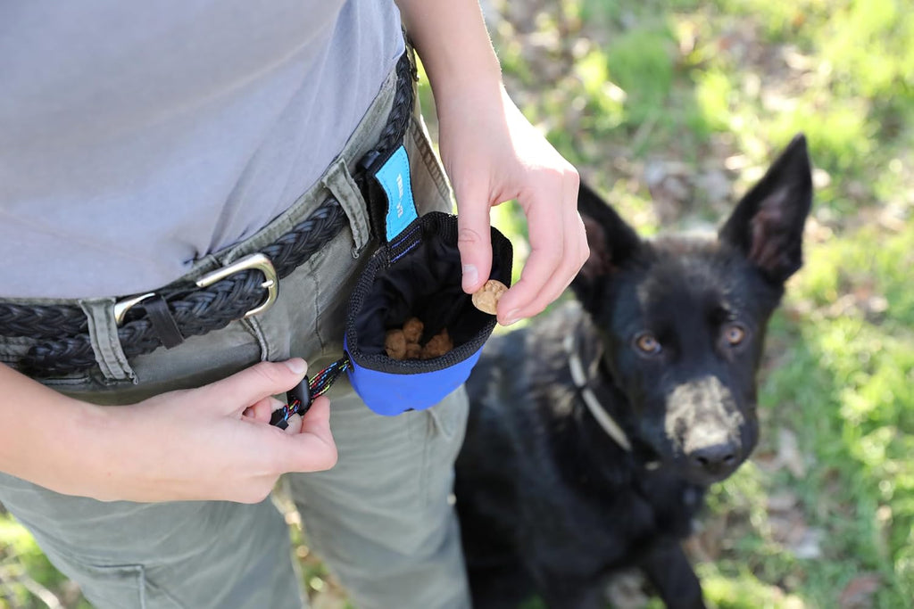 Chuckit! Treat Tote Dog Treat Pouch for Puppy Training, 1 Cup | Convenient Treat Pouch for Puppy Training With 1 Cup Capacity, Available in Assorted Colors for On-the-Go Rewards 