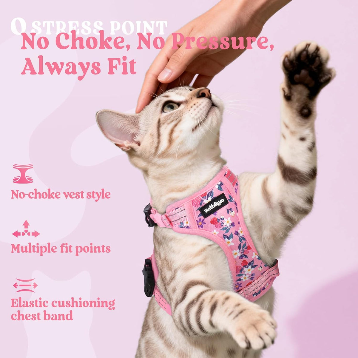 rabbitgoo Cat Harness and Leash Set, Easy-on with Neck Buckle, Berry Bloom
