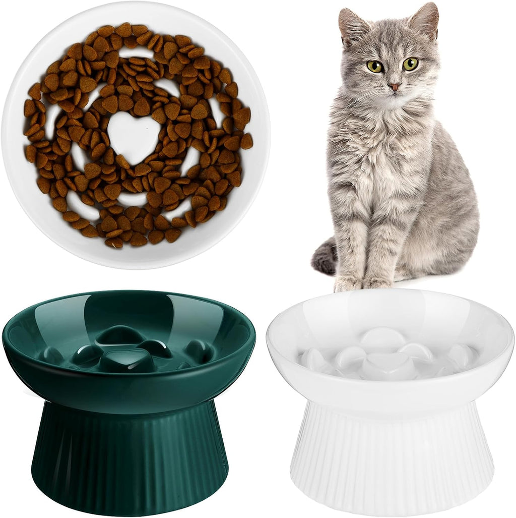 Tioncy 2 Pcs Ceramic Elevated Slow Feeder Cat Bowl, Dark Green, White