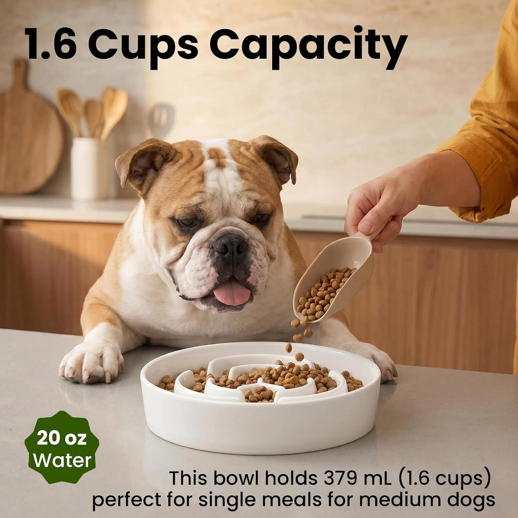 Ceramic Slow Feeder Dog Bowls 1.6 Cups for Medium & Small Fast Eaters,White