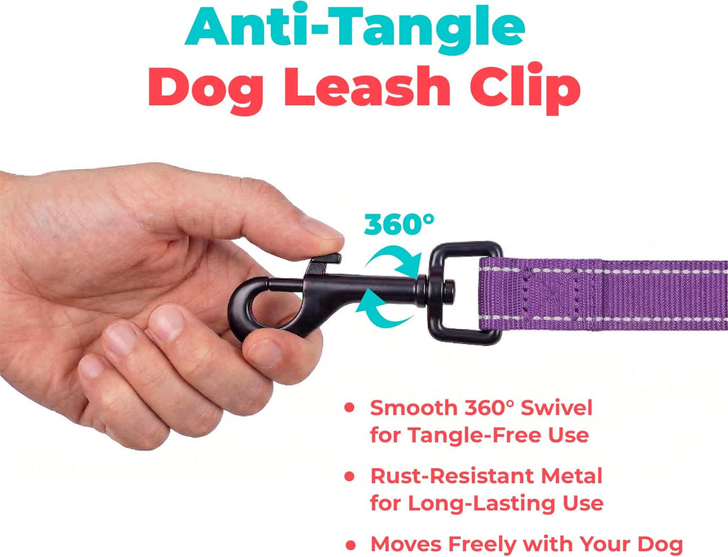 Best Pet Supplies Voyager Nylon Dog Leash - Purple, Large