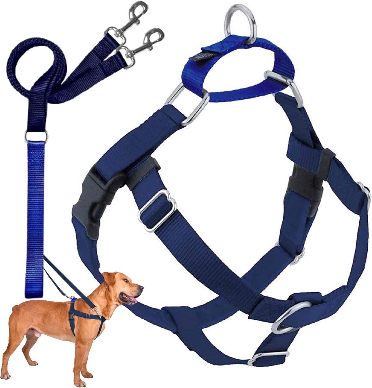 2 Hounds Design Freedom No Pull Dog Harness and Leash, 1" MD, Navy