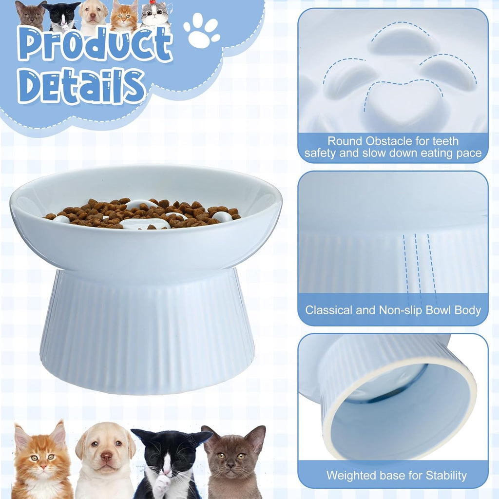 Tioncy 2 Pcs Ceramic Elevated Slow Feeder Cat Bowl, White, Blue