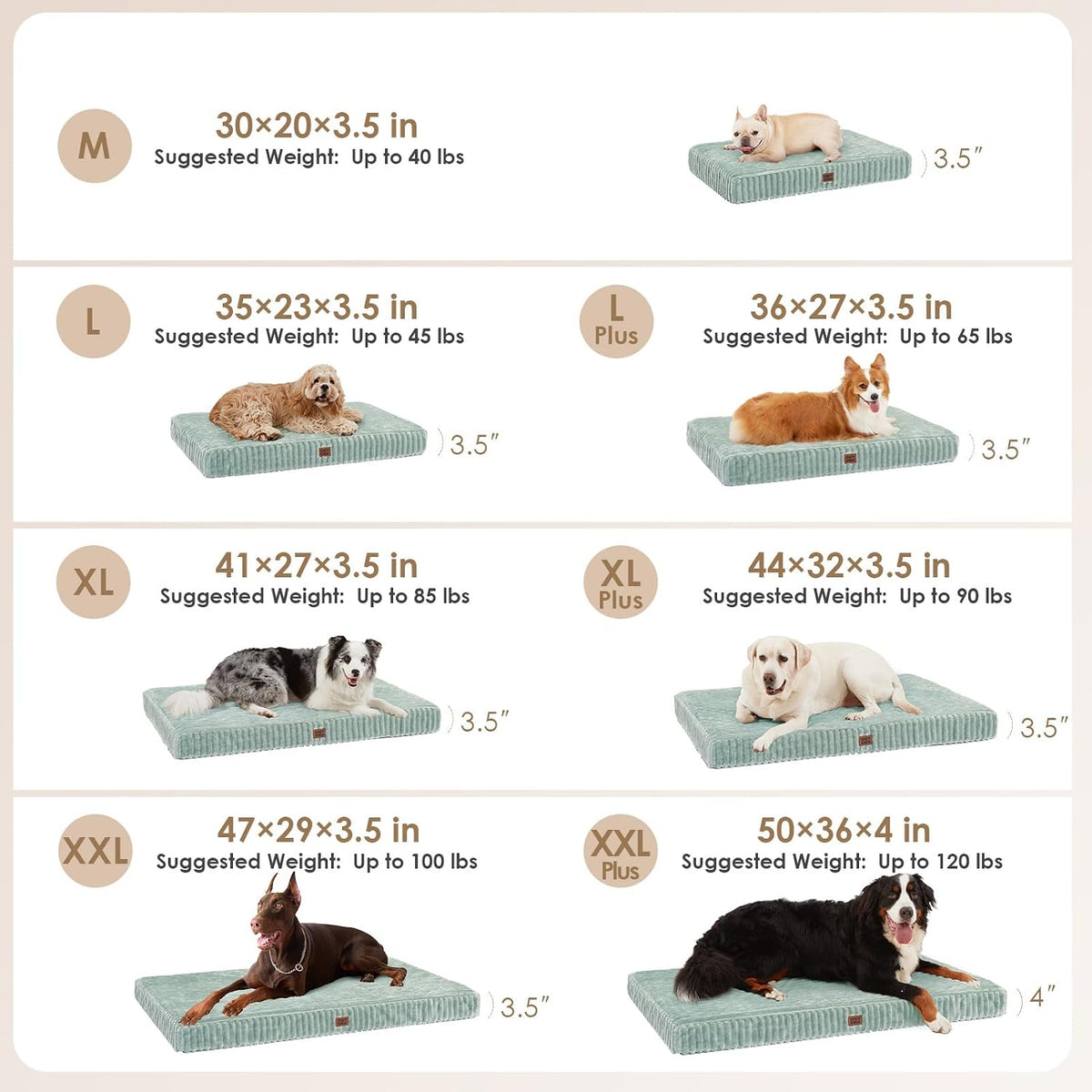 EHEYCIGA Orthopedic Dog Bed Medium Size Dog, 30"x20" Washable Pet Bed