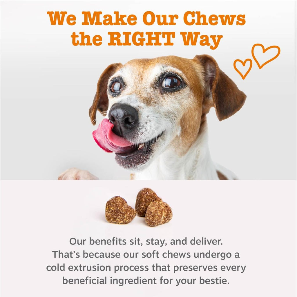 Zesty Paws Puppy Probiotics Bites - Gut Health for Dogs, Pumpkin, 90 Ct