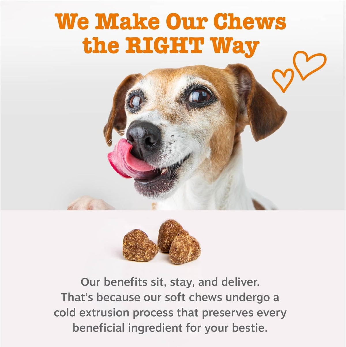 Zesty Paws Puppy Probiotics Bites - Gut Health for Dogs, Pumpkin, 90 Ct
