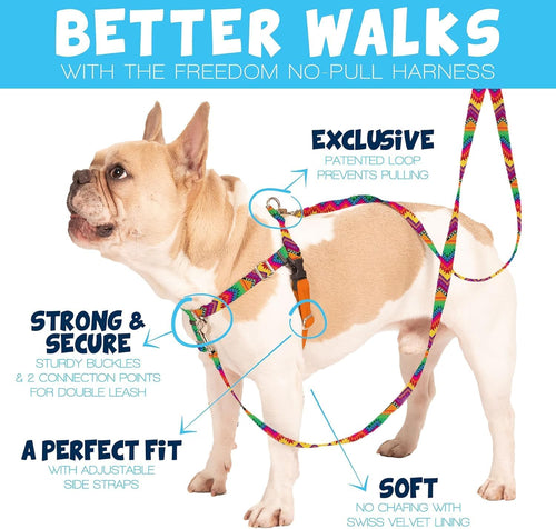 2 Hounds Design Freedom No Pull Dog Harness and Leash, 1" LG, Teal