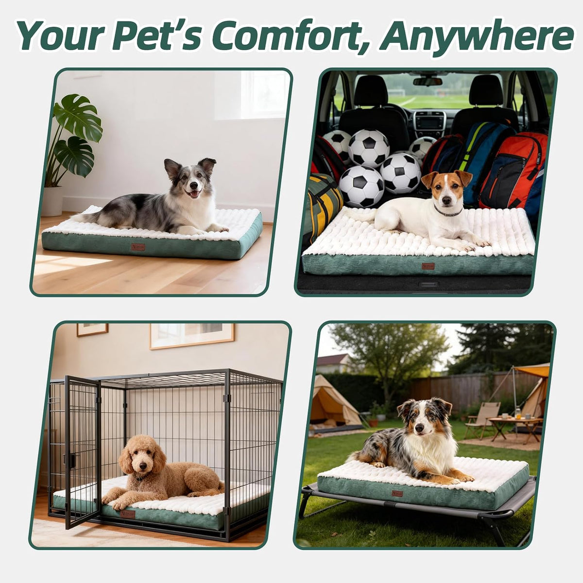 Orthopedic Dog Bed for Small Dogs,Firm Egg Crate Foam,Non-Slip Bottom,Green