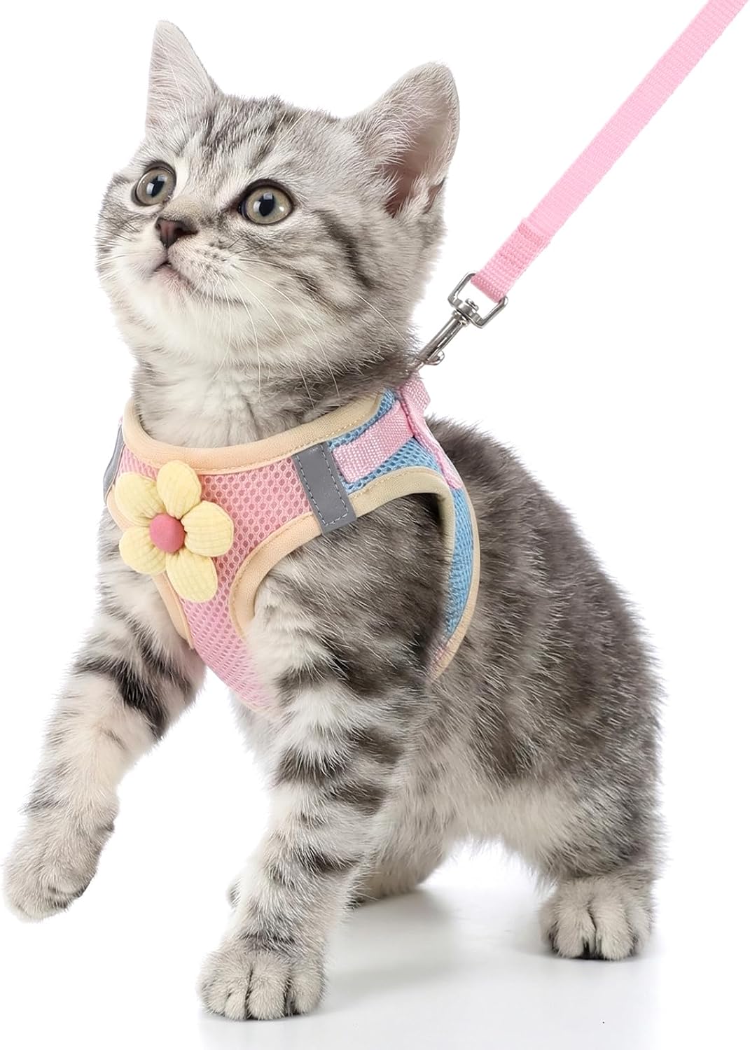 Flower Cat Harness and Leash Set for Walking, 10.2-11.8in