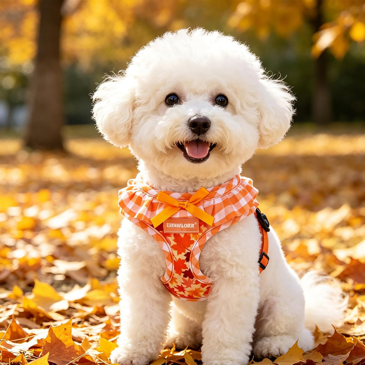 EXPAWLORER Fall Dog Harness and Leash Set Small Sized