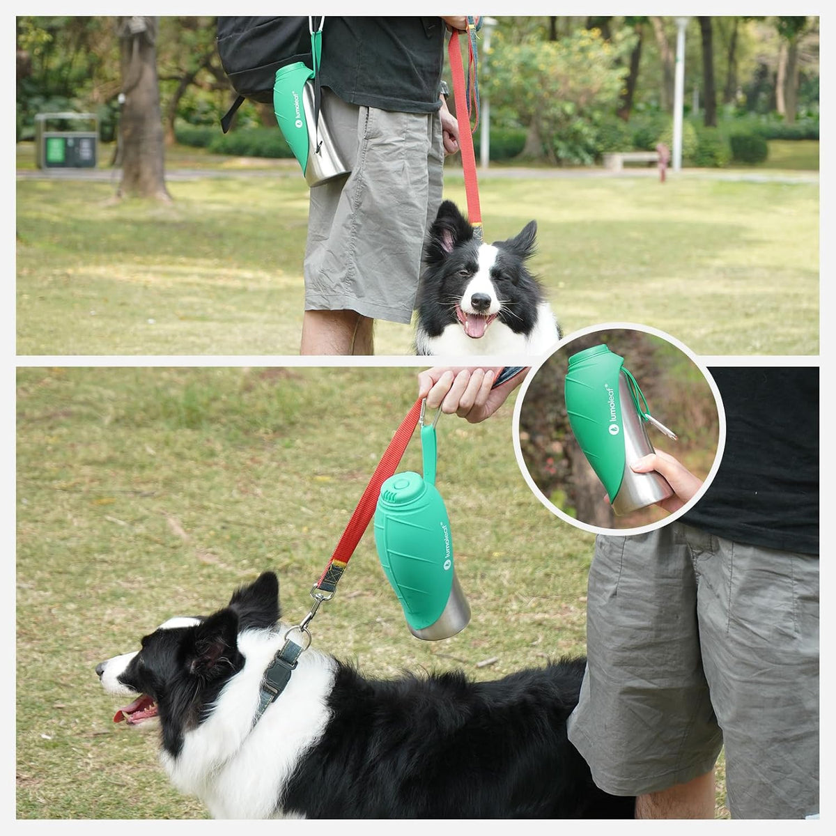 LumoLeaf Portable Dog Water Bottle 27 OZ, Stainless Steel Pet Travel Water Bottle Dispenser for Walking, Hiking and Outdoor, Portable Water Bowl for Large Dogs (Green)