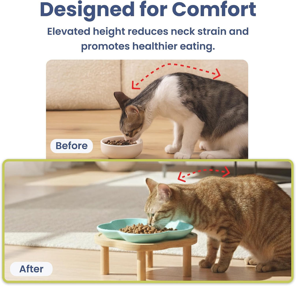 PawsPik Flower Ceramic Feeding Cat Plate with Raised Bamboo Stand, Blue