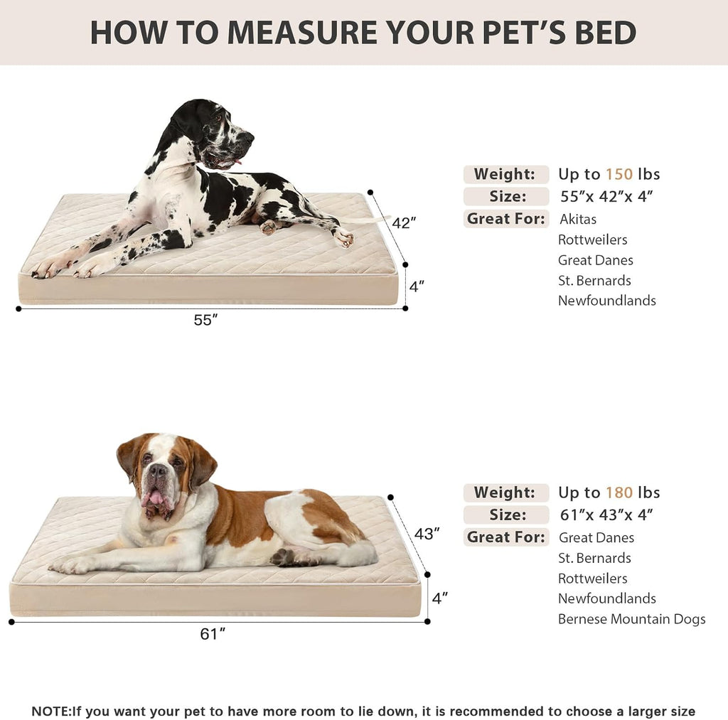 WNPETHOME Orthopedic Giant Human Dog Beds for Adult & Dog Cozy Sleep