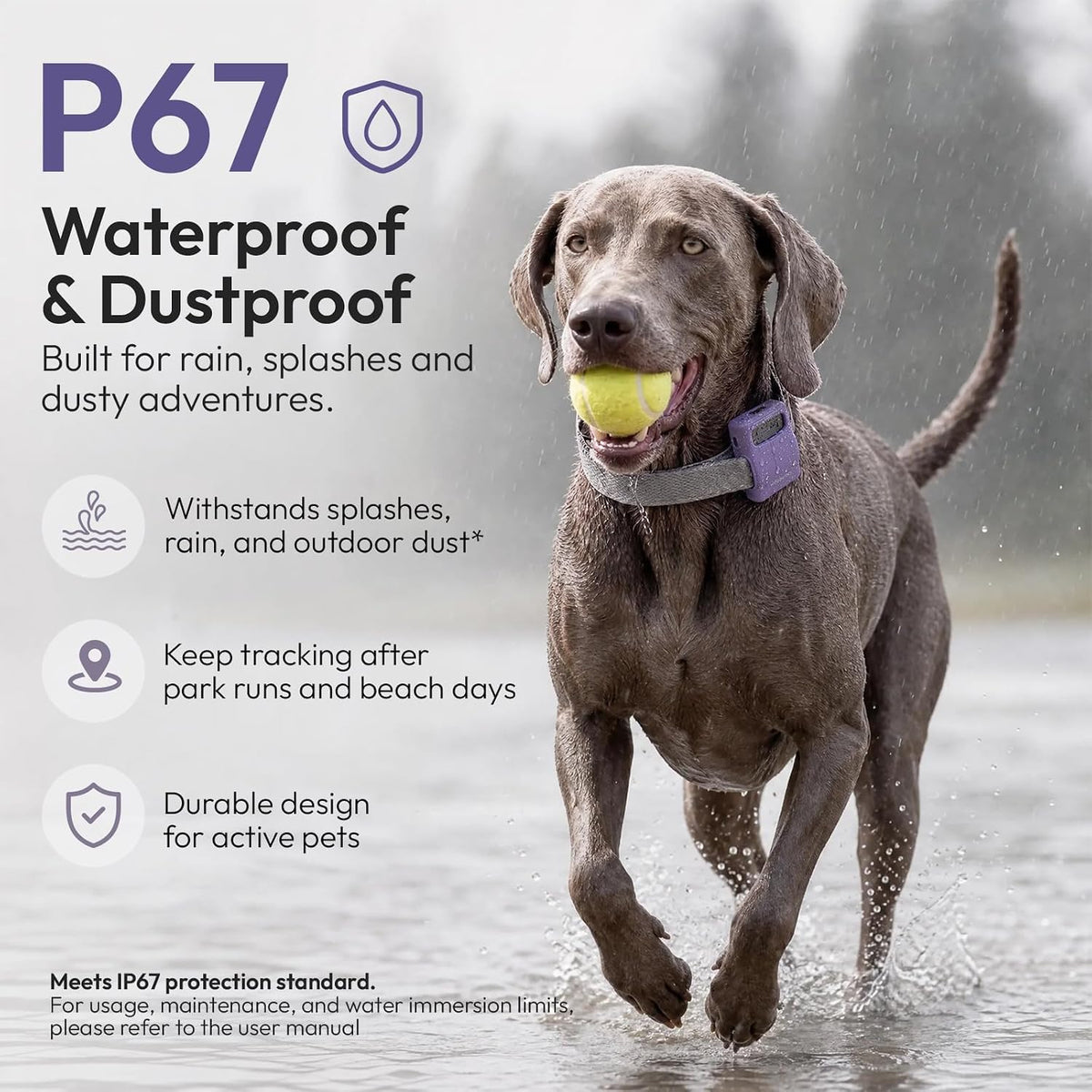 Pet Habit & Activity Smart Tracker, 4G LTE GPS Tracker for Dogs