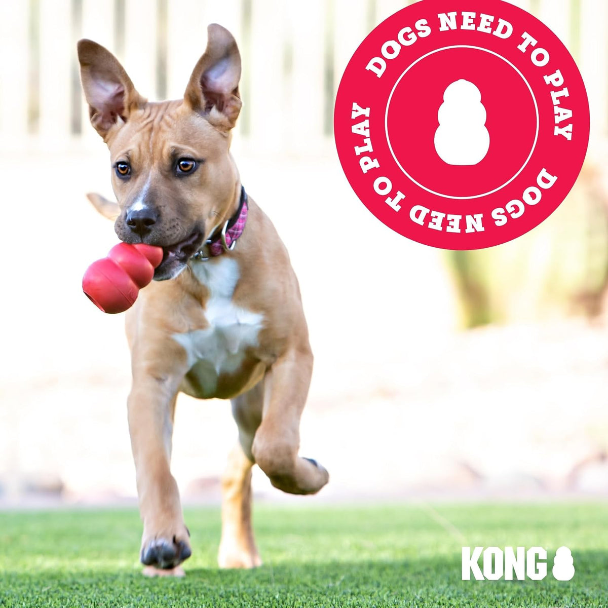KONG Flyer, Natural Rubber Flying Disc, for Small Dogs (Pack of 2) | Durable KONG Natural Rubber Flying Disc for Fetch, a Safer Disc for Healthy Outdoor Activity & Active Play
