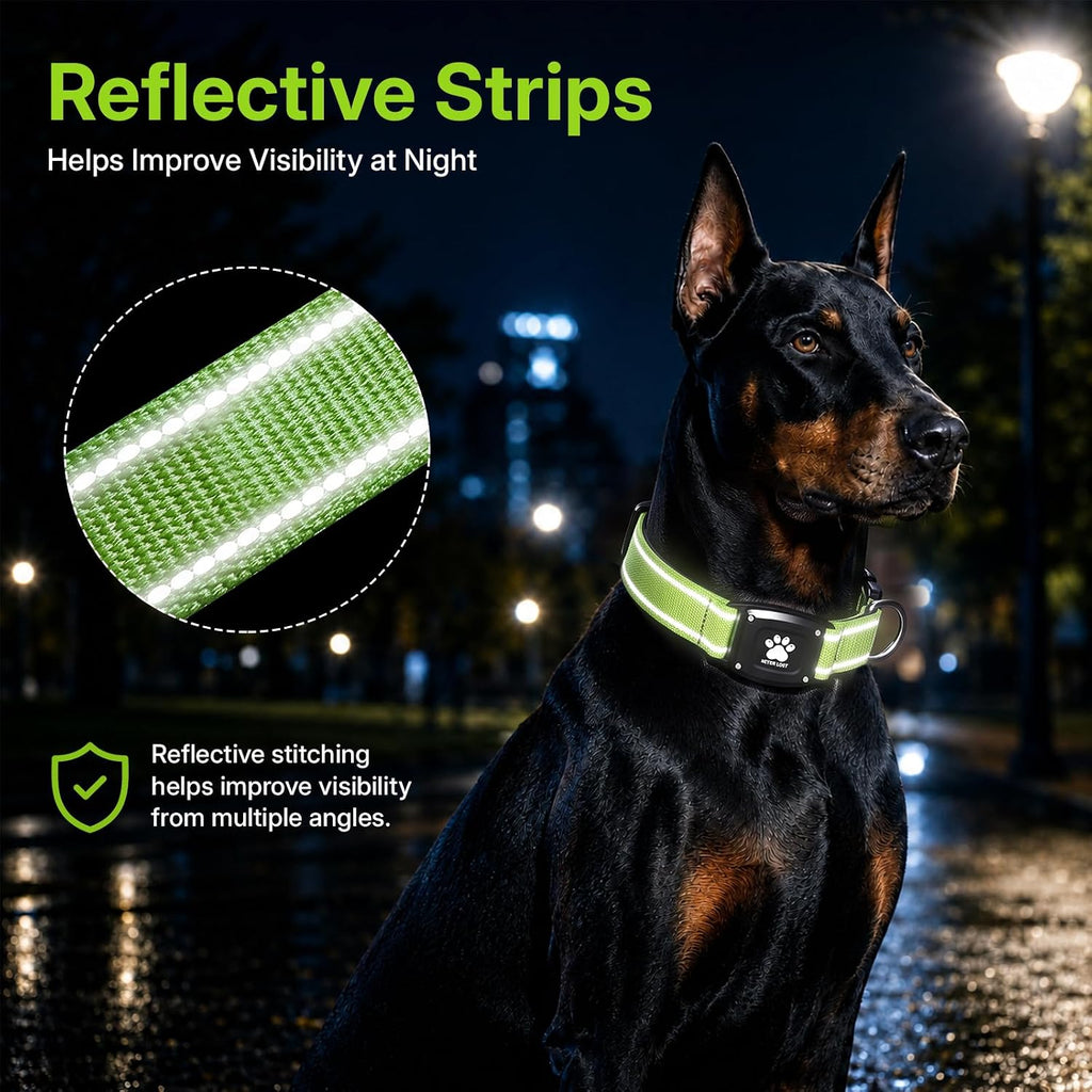 GPS Dog Collar with Tracker, Waterproof, No Monthly Fee, Green, M