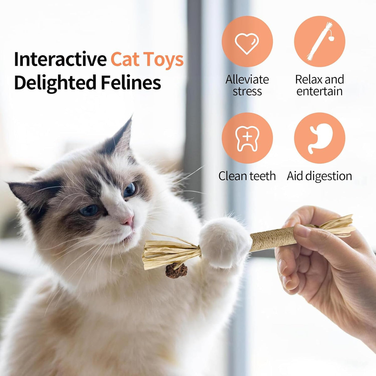 Natural Silvervine Sticks 3Pcs, Cat Chew Toys for Kitten Teething | Silvervine Dental Sticks for Cats & Kittens, Matatabi Chew Toys for Teeth Care, Anxiety Relief & Furniture Protection