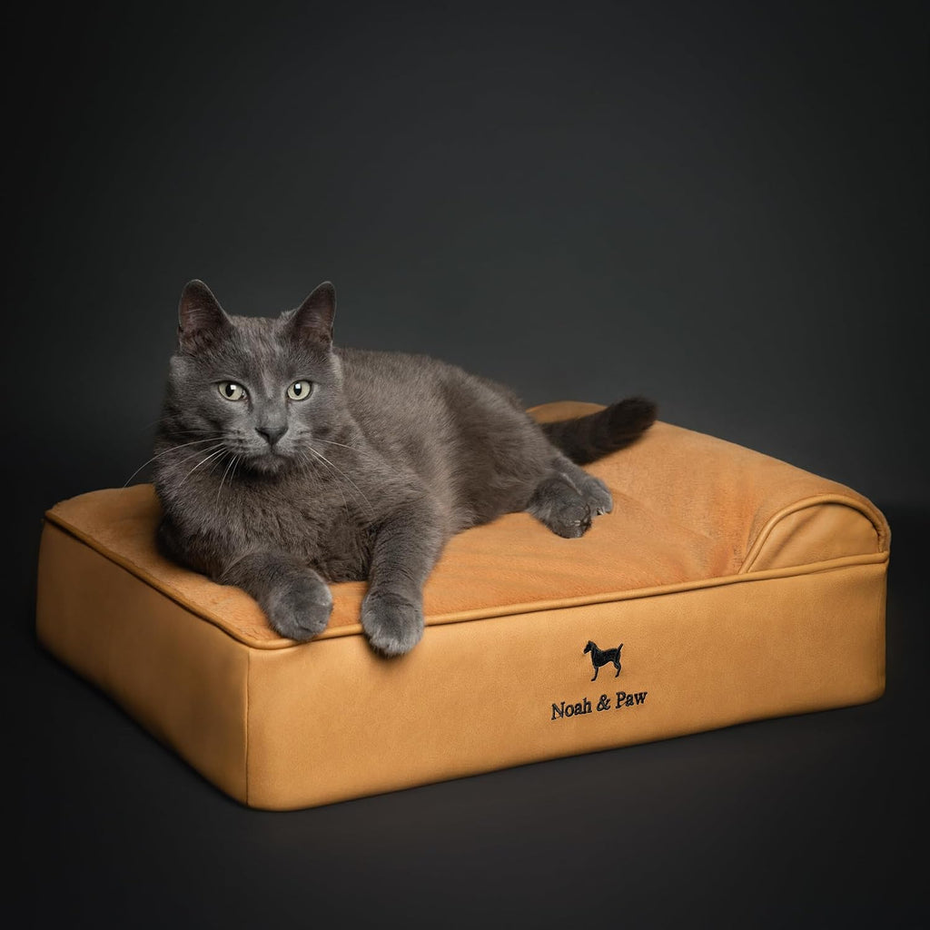 NOAH & PAW Small Cat & Dog Bed Orthopedic Cooling Memory Foam 20x15x6.5