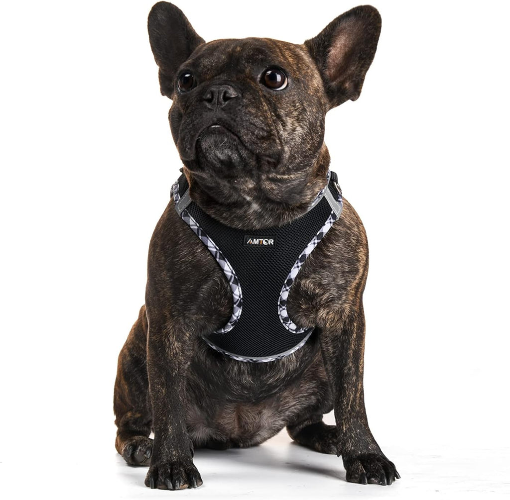 AMTOR Small Dog Harness with Leash Set, No Escape Easy Walk Puppy Harnesses for Training Walking, Step-in Reflective Soft Dogs Vest for XS S Medium Extra-Small Large Sized Dog(Blackwhite,M)