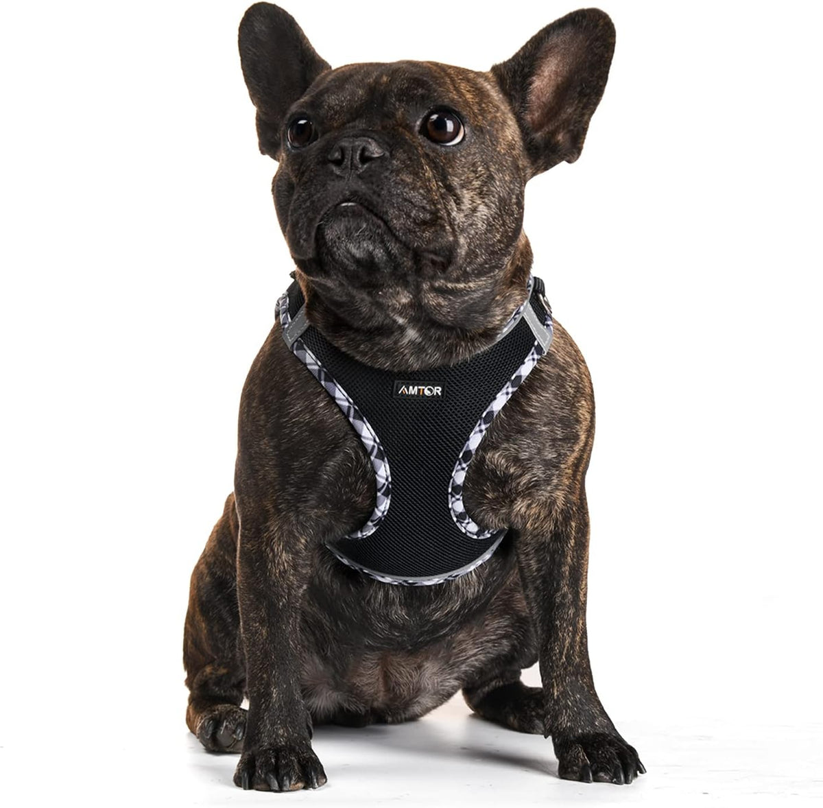 AMTOR Small Dog Harness with Leash Set, No Escape Easy Walk Puppy Harnesses for Training Walking, Step-in Reflective Soft Dogs Vest for XS S Medium Extra-Small Large Sized Dog(Blackwhite,M)