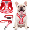 SCENEREAL Valentines Small Dog Harness Collar and Leash Set,Step-in No Pull