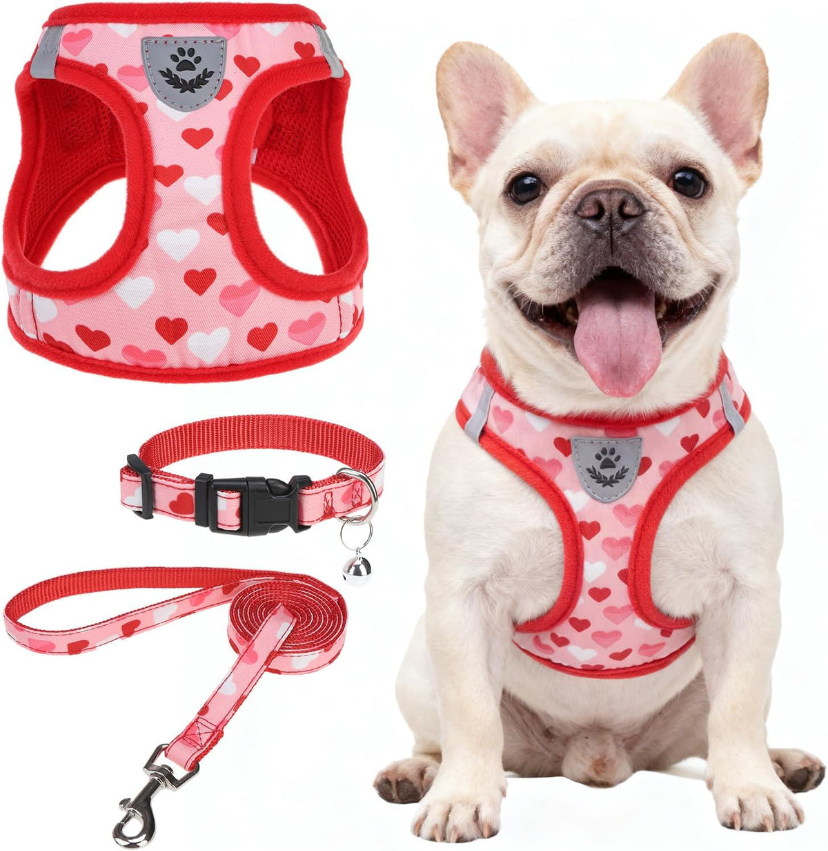 SCENEREAL Valentines Small Dog Harness Collar and Leash Set,Step-in No Pull