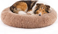 NEWBULIG 37x37 Inch Donut Dog Bed for Indoor Use, Fluffy Large Pet Sofa