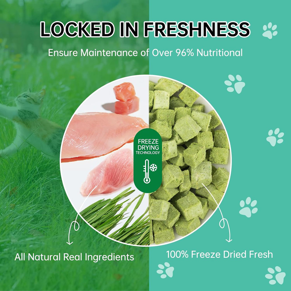 Freeze-Dried Cat Grass Dental Treats, Hairball Control, 80g