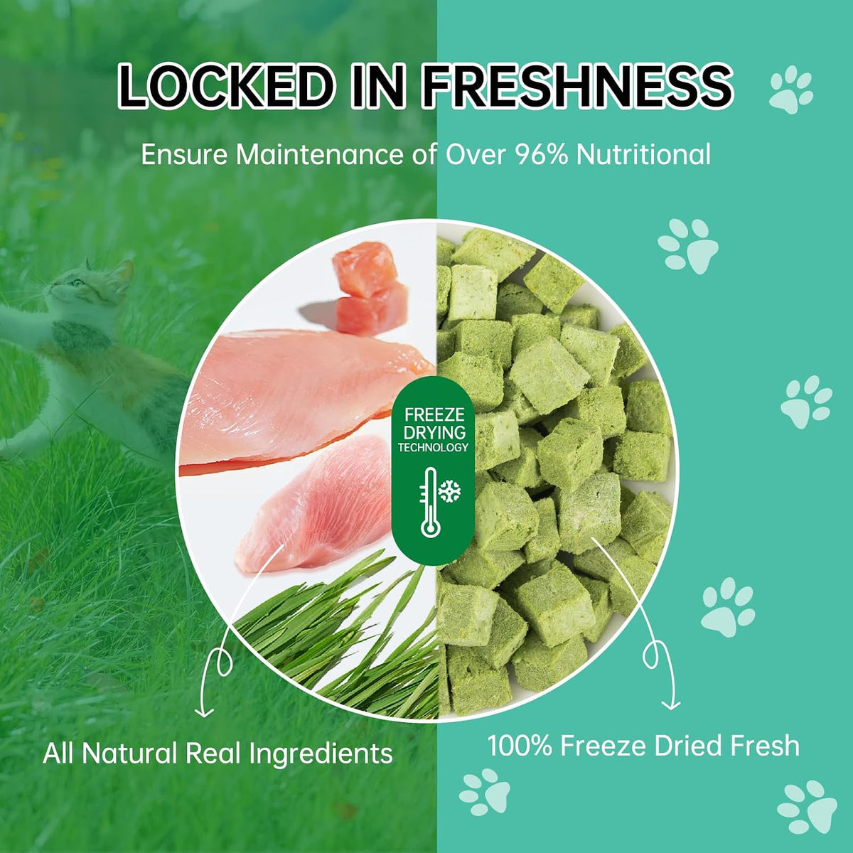 Freeze-Dried Cat Grass Dental Treats, Hairball Control, 80g
