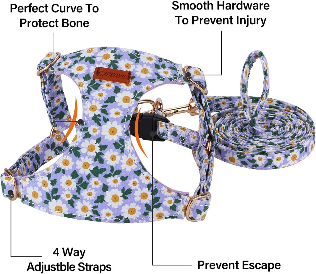 CHEDE No Pull Floral Pattern Dog Harness- Lightweight and Soft Harness, Adjustable Small Dog Harness and Leash Set, with Dog Leash, Suitable for Puppy Small and Medium-Sized Dog (S, Purple Daisy)
