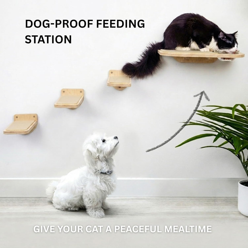 INICIO Cat Shelves - Feeding Shelf with 3 Cat Wall Steps - Natural Wood