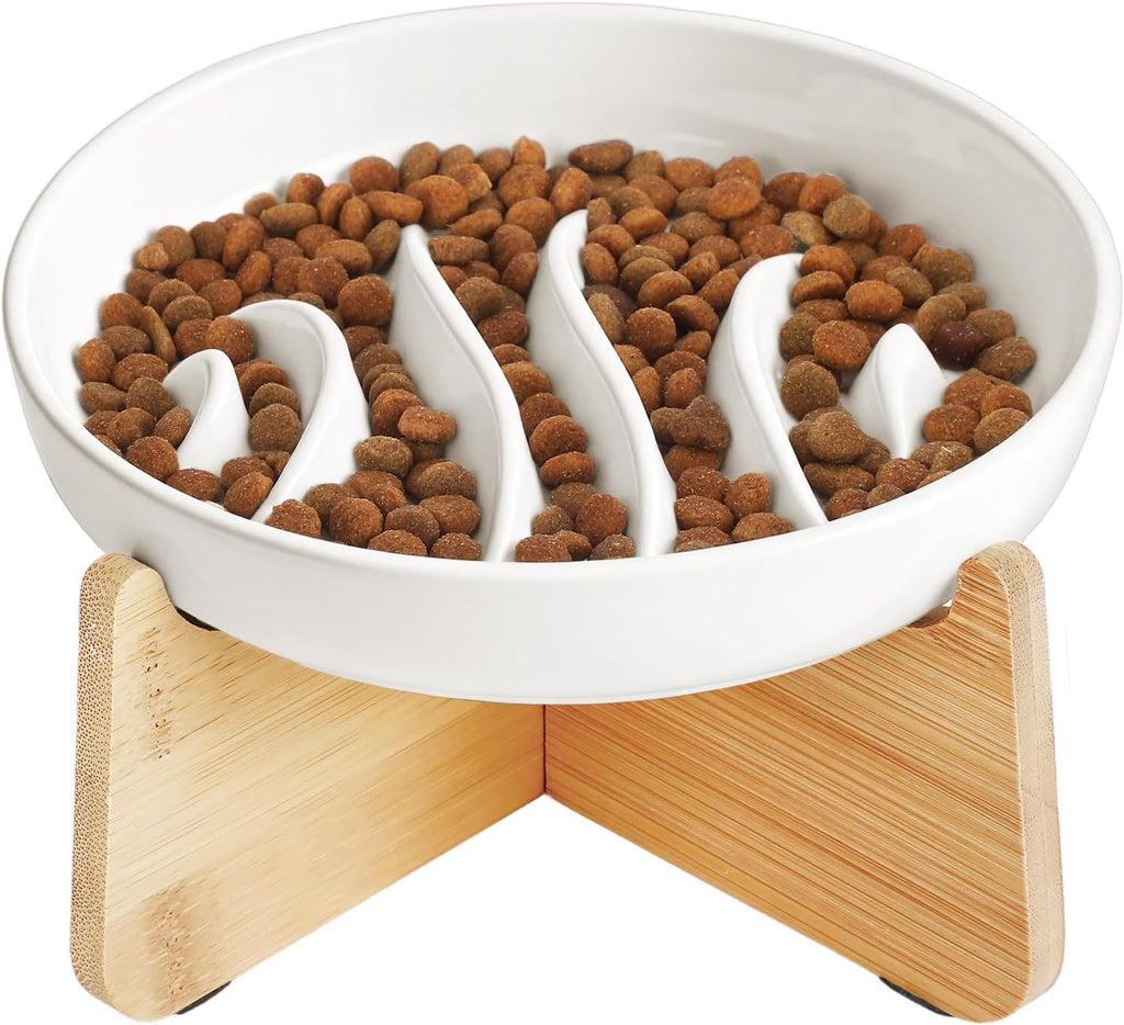 PETTOM Slow Feeder Cat Bowl Elevated Ceramic with Bamboo Stand, Fishbone