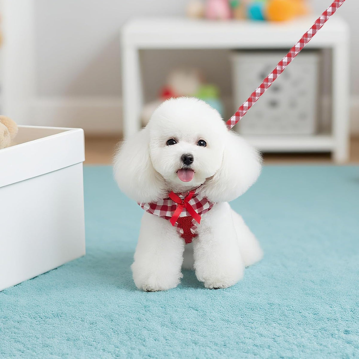 EXPAWLORER Step-in Dog Harness Small Sized Collar and Leash Set