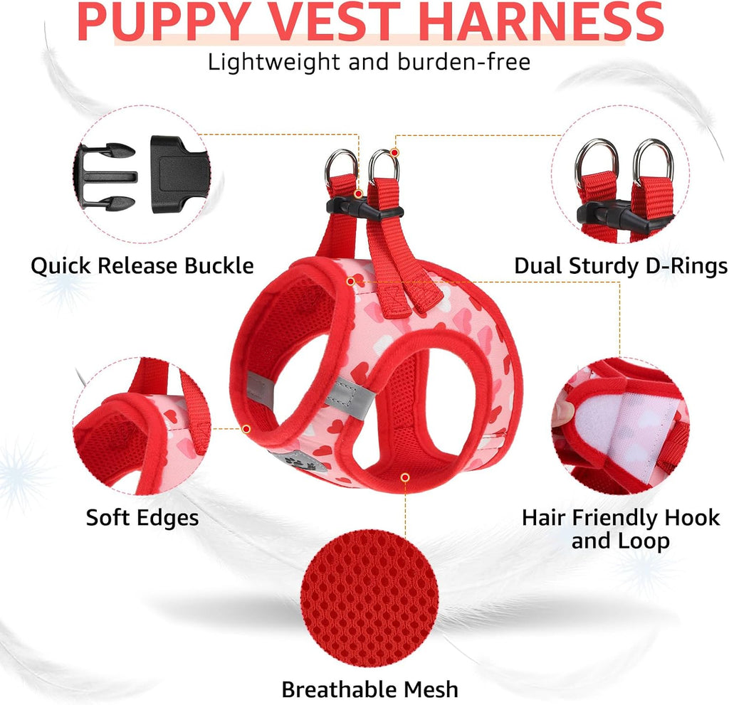 SCENEREAL Valentines Small Dog Harness Collar and Leash Set,Step-in No Pull