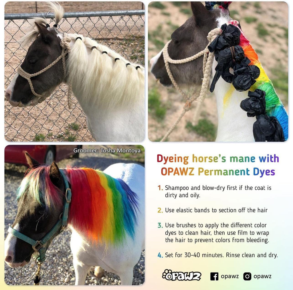 OPAWZ Permanent Dog Hair Dye, Pet Hair Dye Safely Used by Grooming Salons for a Decade, Pet Safe Dye Lasts Over 20 Washes, Bright Color for Dogs and Horses (Lamarius Blue)