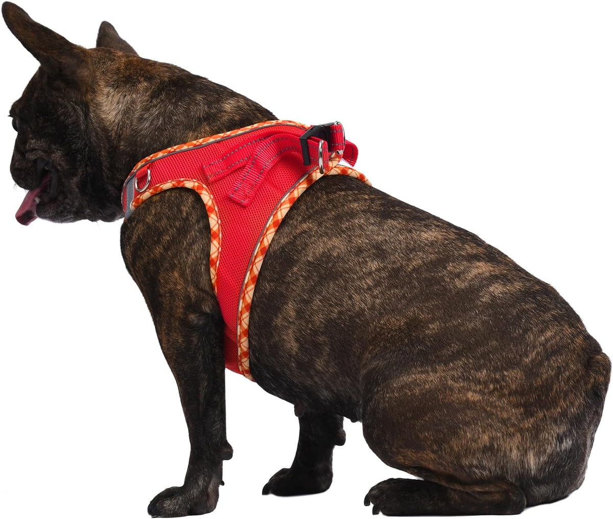 AMTOR Small Dog Harness with Leash Set, No Escape Easy Walk Puppy Harnesses for Training Walking, Step-in Reflective Soft Dogs Vest for XS S Medium Extra-Small Large Sized Dog(Red,XS)