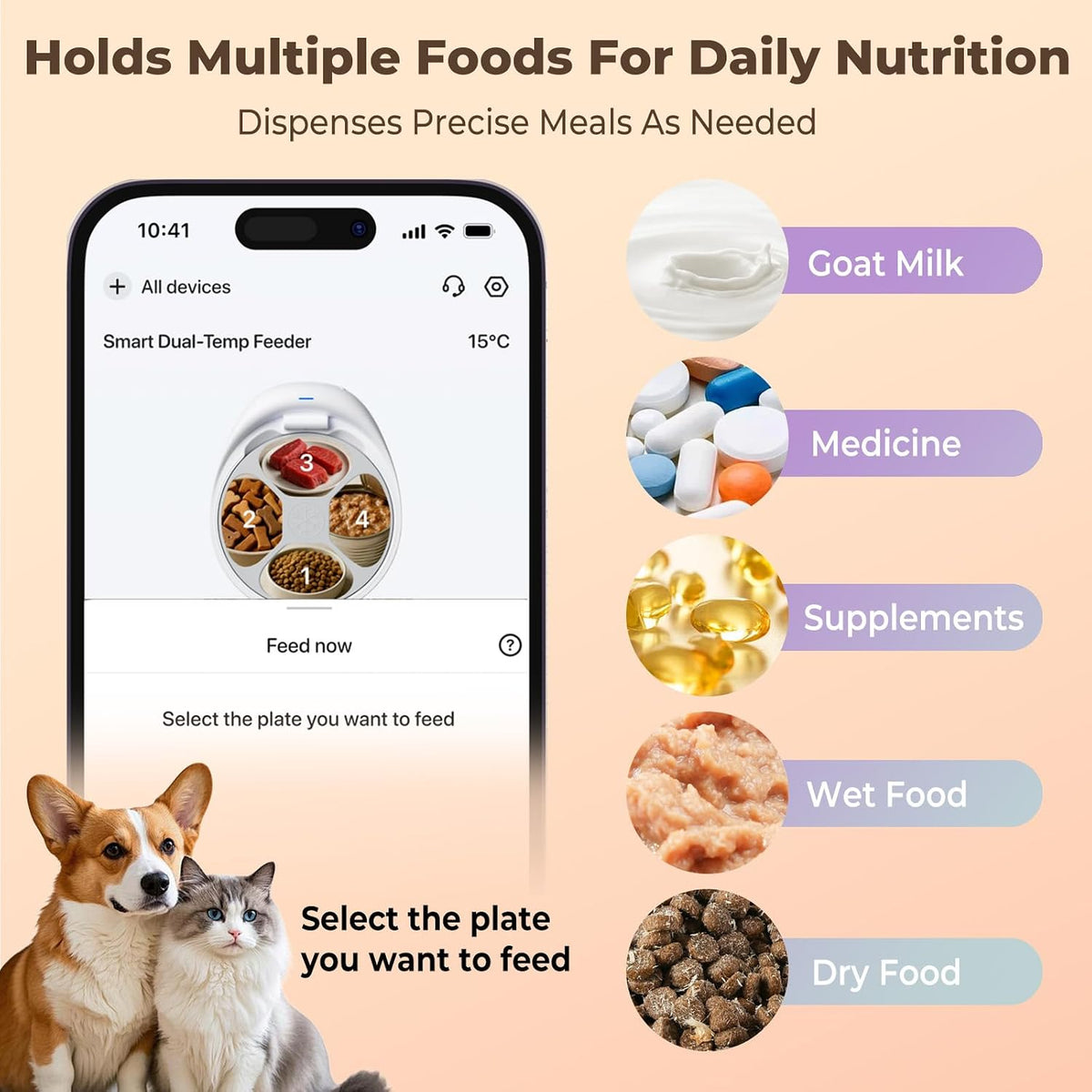 Automatic Cat Feeder for Wet Food, Smart Dual-Temp Semiconductor