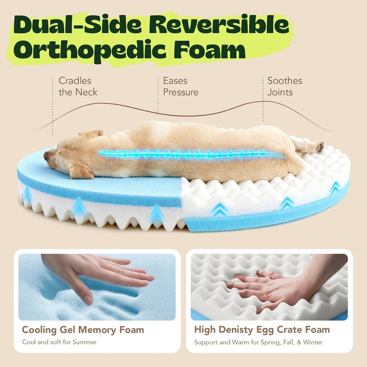 Memory Foam Orthopedic Dog Beds for Large Size Dogs,36 Inch,Camel