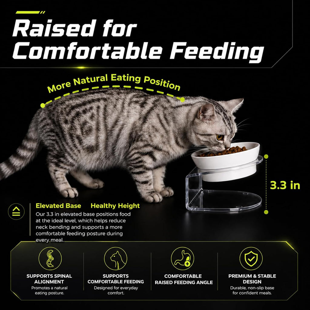 LivLab Mker Elevated Cat Bowls, Tilted Melamine, White, 2 Pack | Two tilted melamine bowls support comfortable feeding for cats, kittens, flat-faced pets, and small dogs; white finish.